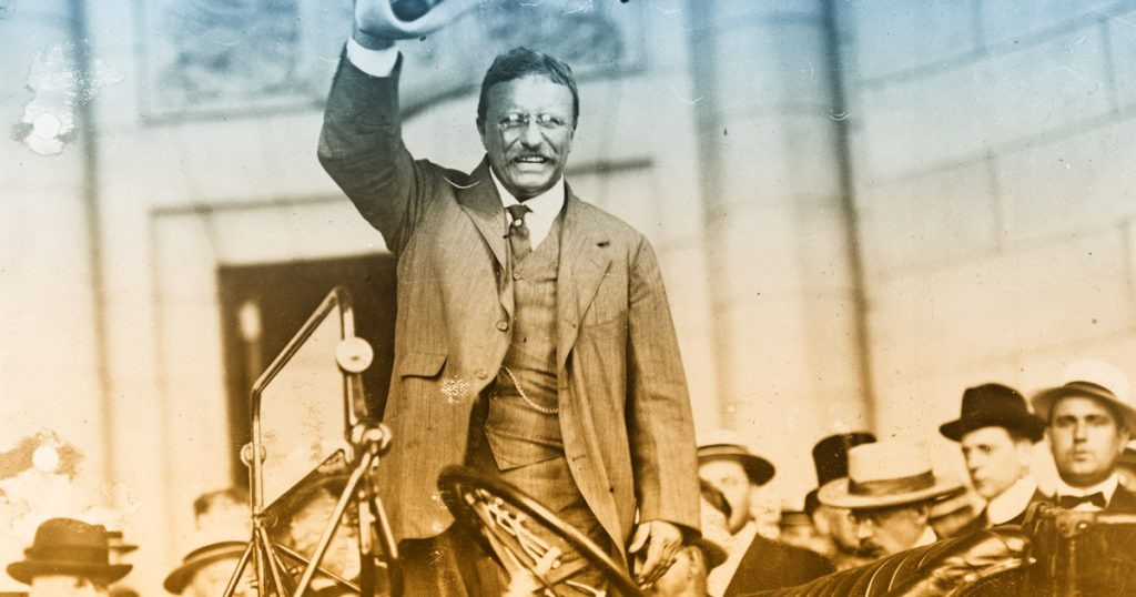 how to be successful teddy roosevelt