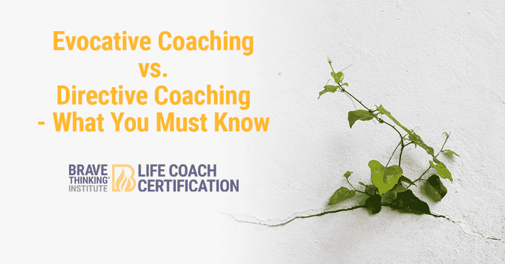 Evocative Coaching vs. Directive Coaching - What You Must Know