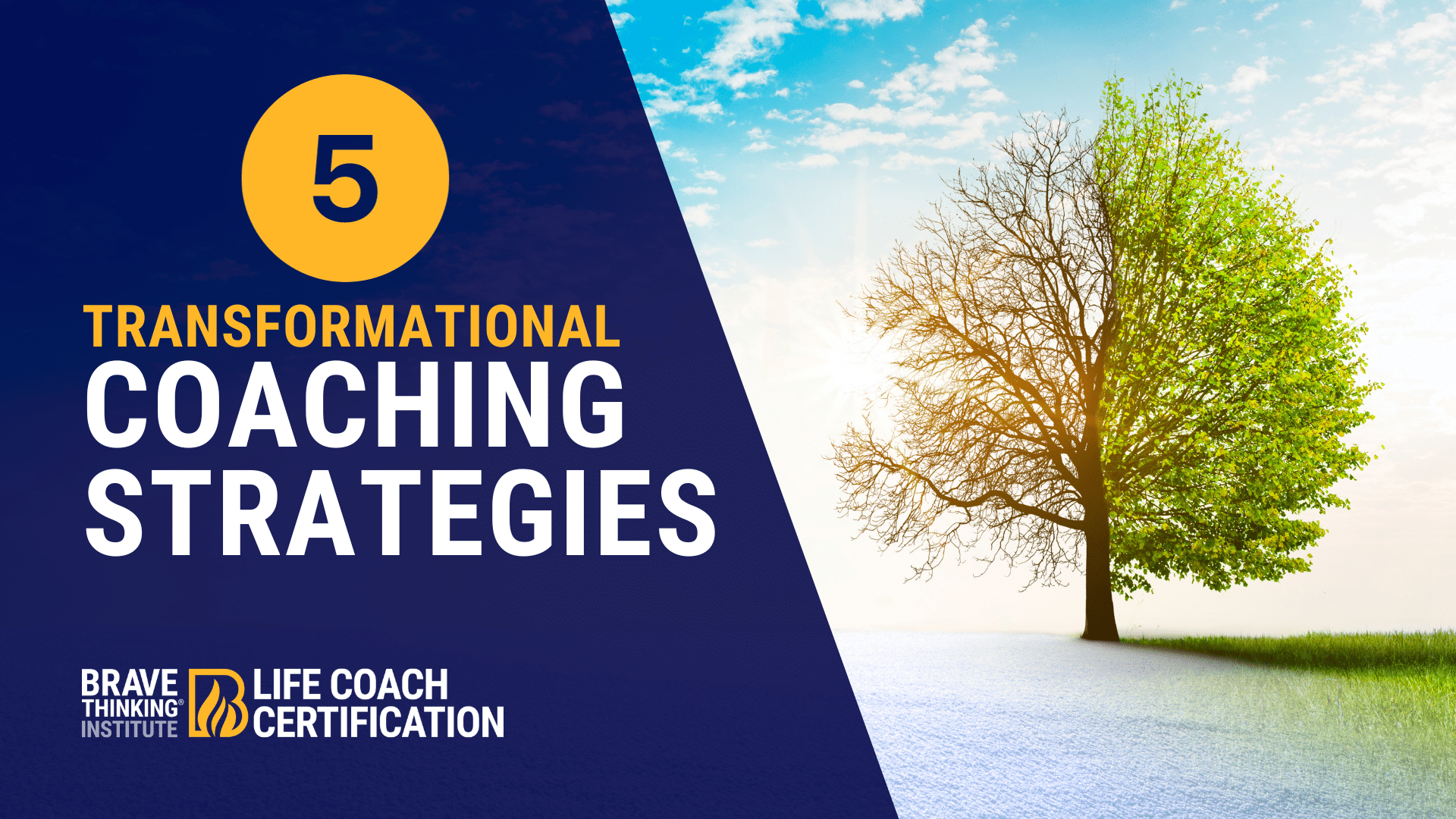 Transformational coaching | Strategies in coaching for transformation